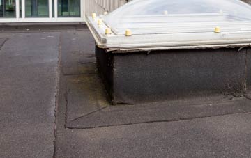 disadvantages of Trelissick flat roofs