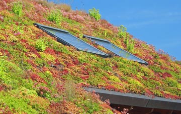 Trelissick living roof systems
